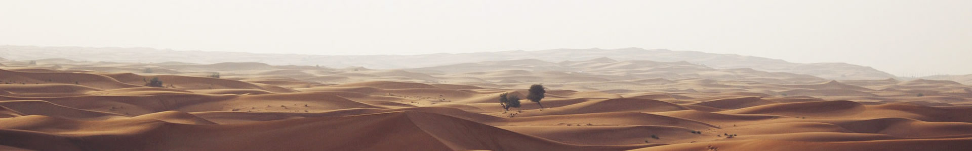ൺ¡޹˾